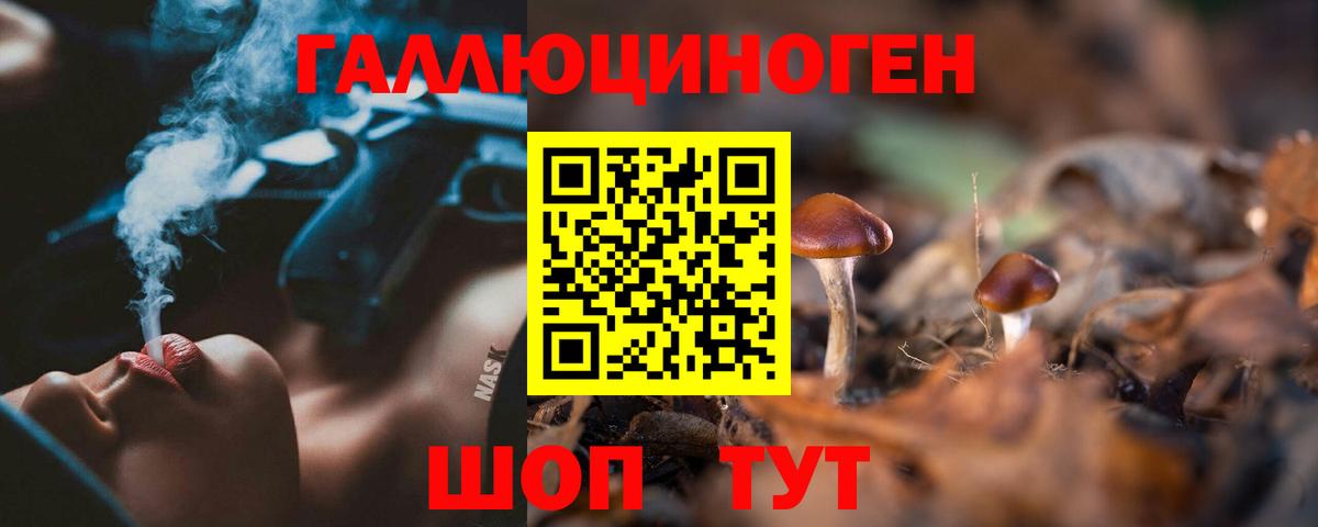 Галлюциногенные грибы GOLDEN TEACHER  Вход с VPN  Галлюциногенные грибы прущие грибы  Новокубанск 